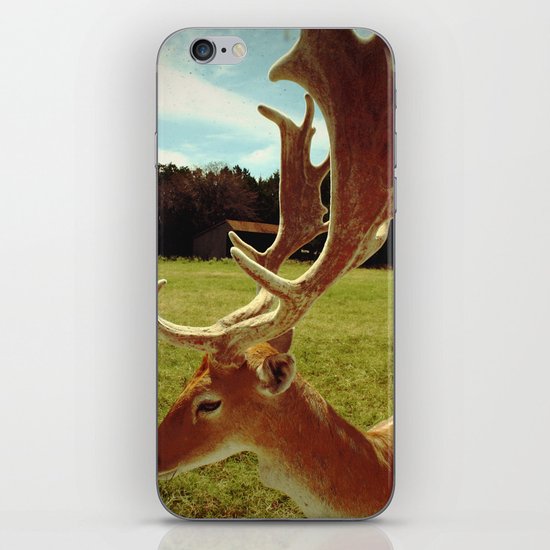 Antlers iPhone & iPod Skin