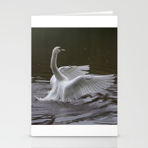 MUTE SWAN Stationery Cards
