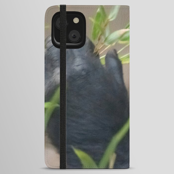 Dinner Time iPhone Wallet Case