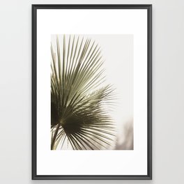Palm Leaf Tropical Framed Art Print