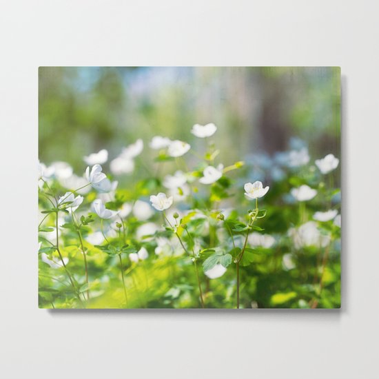forest of dreams Metal Print