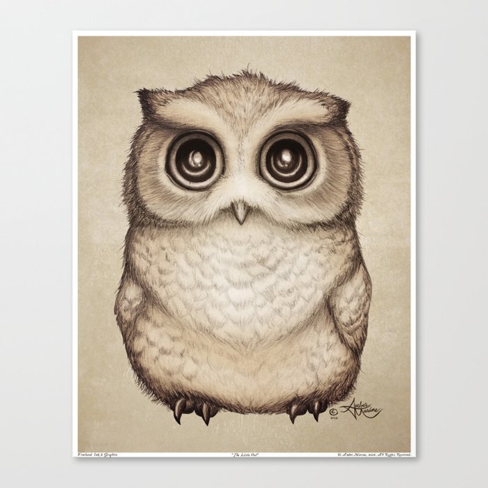 "The Little Owl" by Amber Marine ~ Graphite & Ink Illustration, (Copyright 2016) Canvas Print