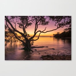 Tropical sunset Canvas Print