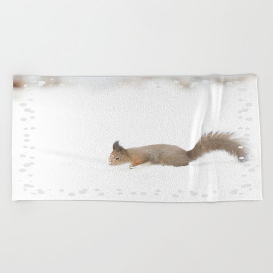 Little squirrel sitting in the snow Beach Towel
