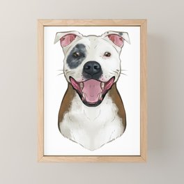 society6