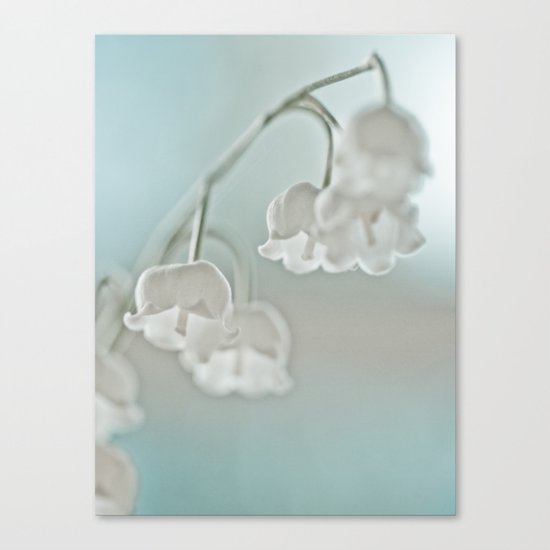 Lily of the valley Canvas Print