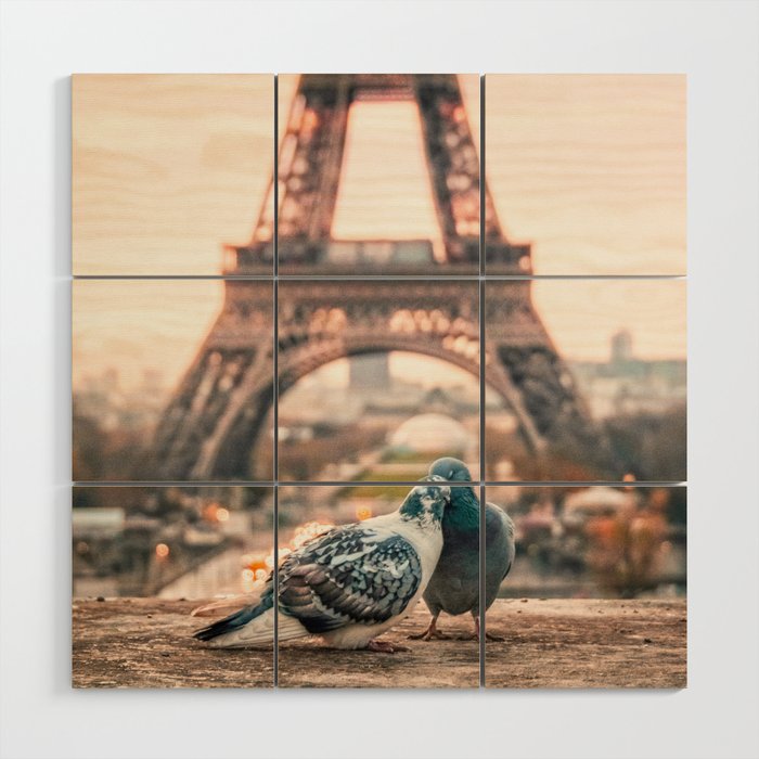 Doves in Paris Wood Wall Art