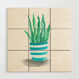 Succulents in a turquoise pot Wood Wall Art