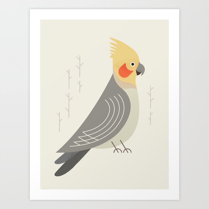 Cockatiel, Bird of Australia Art Print