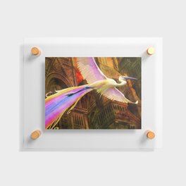 Bird of Paradise Floating Acrylic Print