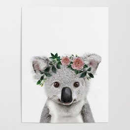 Koala Print Poster