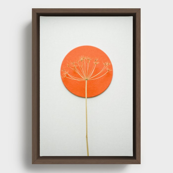 Orange circle and dried flower Framed Canvas