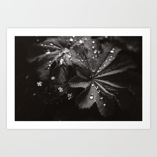 Secret Garden ~ No.10 Art Print