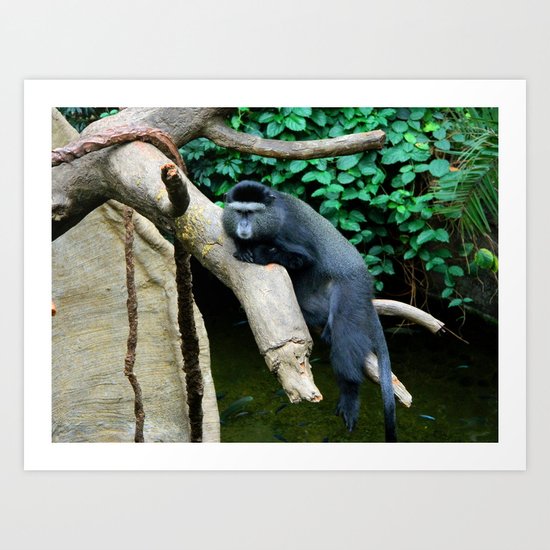 Unimpressed Monkey Art Print