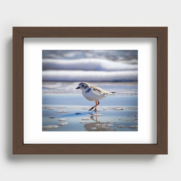 Piping Plover Beach Walk Recessed Framed Print
