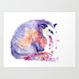 opossum breath Art Print