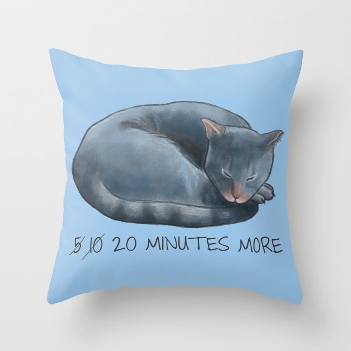 cuddle pillow sleepy cat