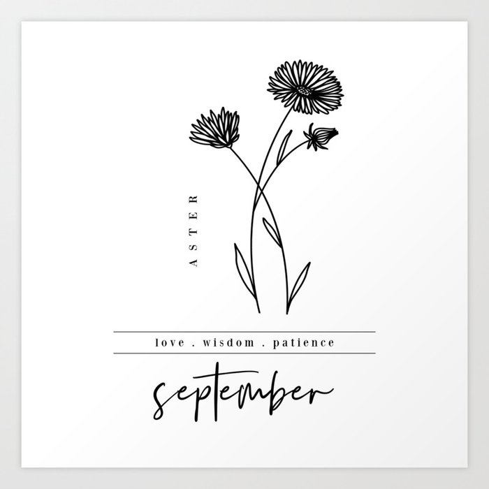 September Birth Flower | Aster Art Print by Jande Summer | Society6