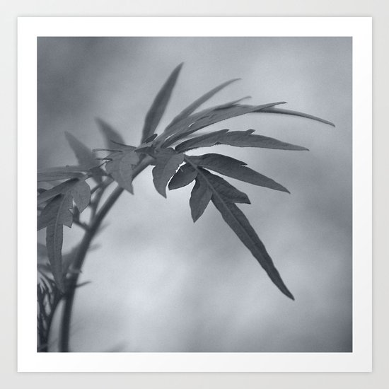 Let me touch you Art Print