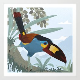 Plate-Billed Mountain Toucan Art Print