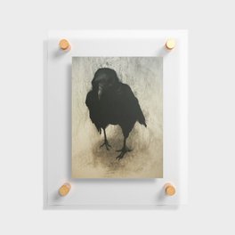 My Friend Merlin Floating Acrylic Print