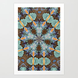 Kaleidoscope - Lichen v.1 Art Print