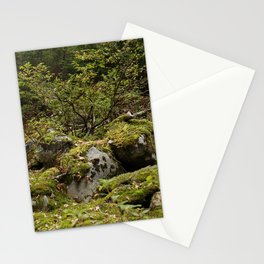 Mossy Rocks Stationery Cards