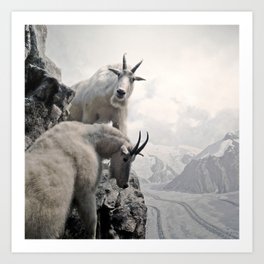 2 Wild Mountain Goats WLD057 Reproduction Art Print A4 A3 A2 A1 