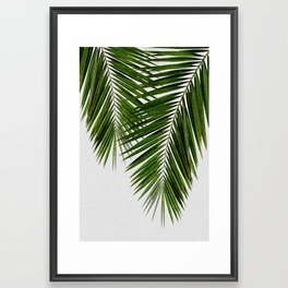 Palm Leaf II Framed Art Print