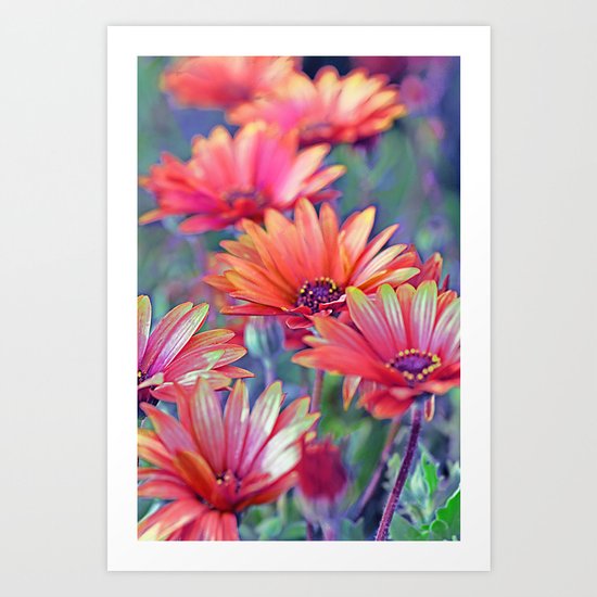 Vintage asters (2) Art Print