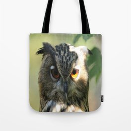 Owl in the light Tote Bag