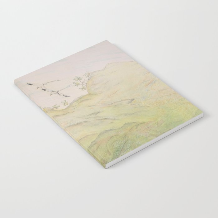 Longtail  Notebook