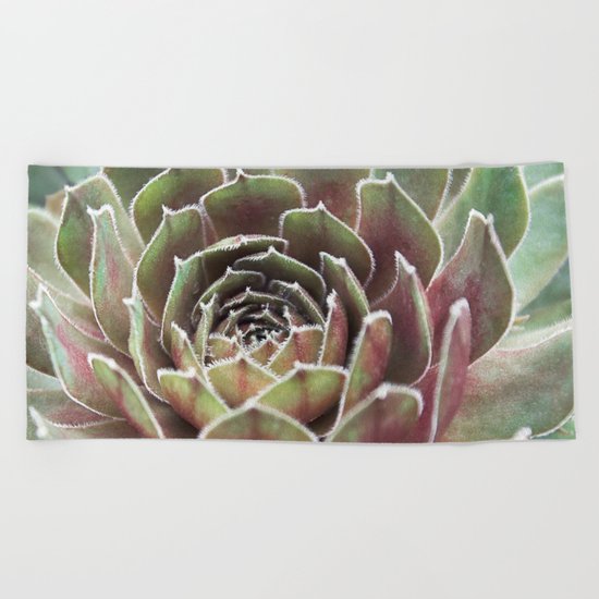 Succulent | Fuzzy Red Cactus Beach Towel