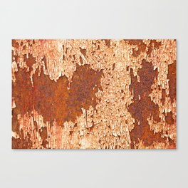 Rust textures Canvas Print