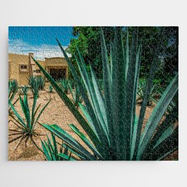 Mexico Photography - Agave Plant In A Mexican Garden Jigsaw Puzzle