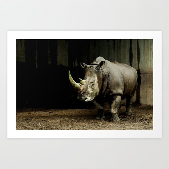 Rhino Art Print