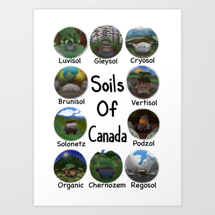 Soils of Canada Illustration Art Print