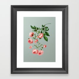 Vintage Pink Rambler Roses Botanical Illustration on Mint Green Framed Art Print