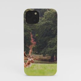 Wild life iPhone Case