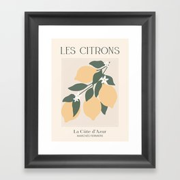 Les Citrons Fruit Market France Framed Art Print
