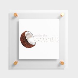 Consider the coconut... Floating Acrylic Print