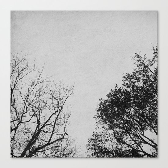 2 Trees (Grey) Canvas Print