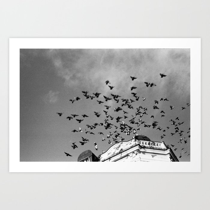 Flight Art Print | Photography, Black-and-white, Film, Birds, Urban, Flight, Motion