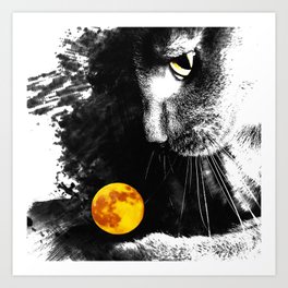 Silver Cat & Moon Art Print