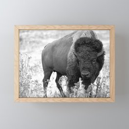 Bison Yellowstone National Park Framed Mini Art Print