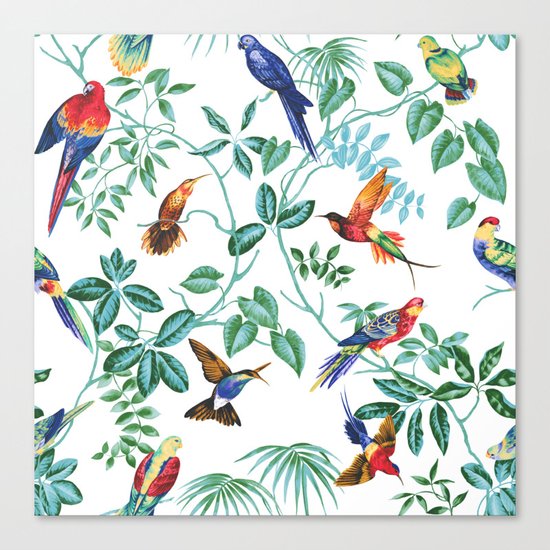 Jungle Birds II Canvas Print