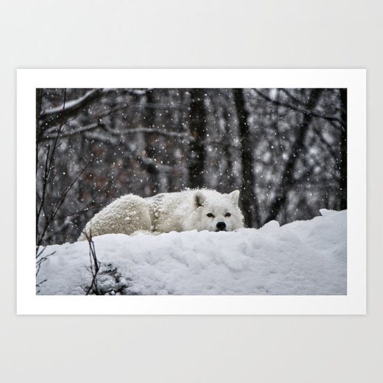 Dreams of warmer weather Art Print