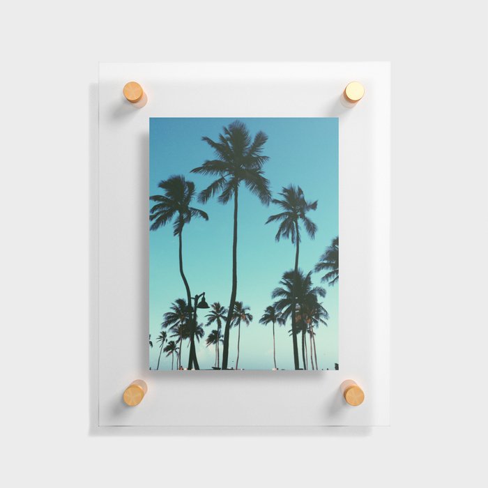Palm Trees Floating Acrylic Print