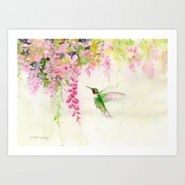 Hummingbird 2  Art Print