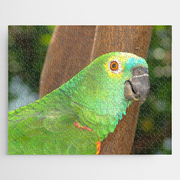 Brazil Photography - Beautiful Green Parrot Sitting In A Tree Jigsaw Puzzle